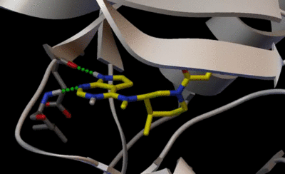 XELJANZ-Rysunek3b.gif